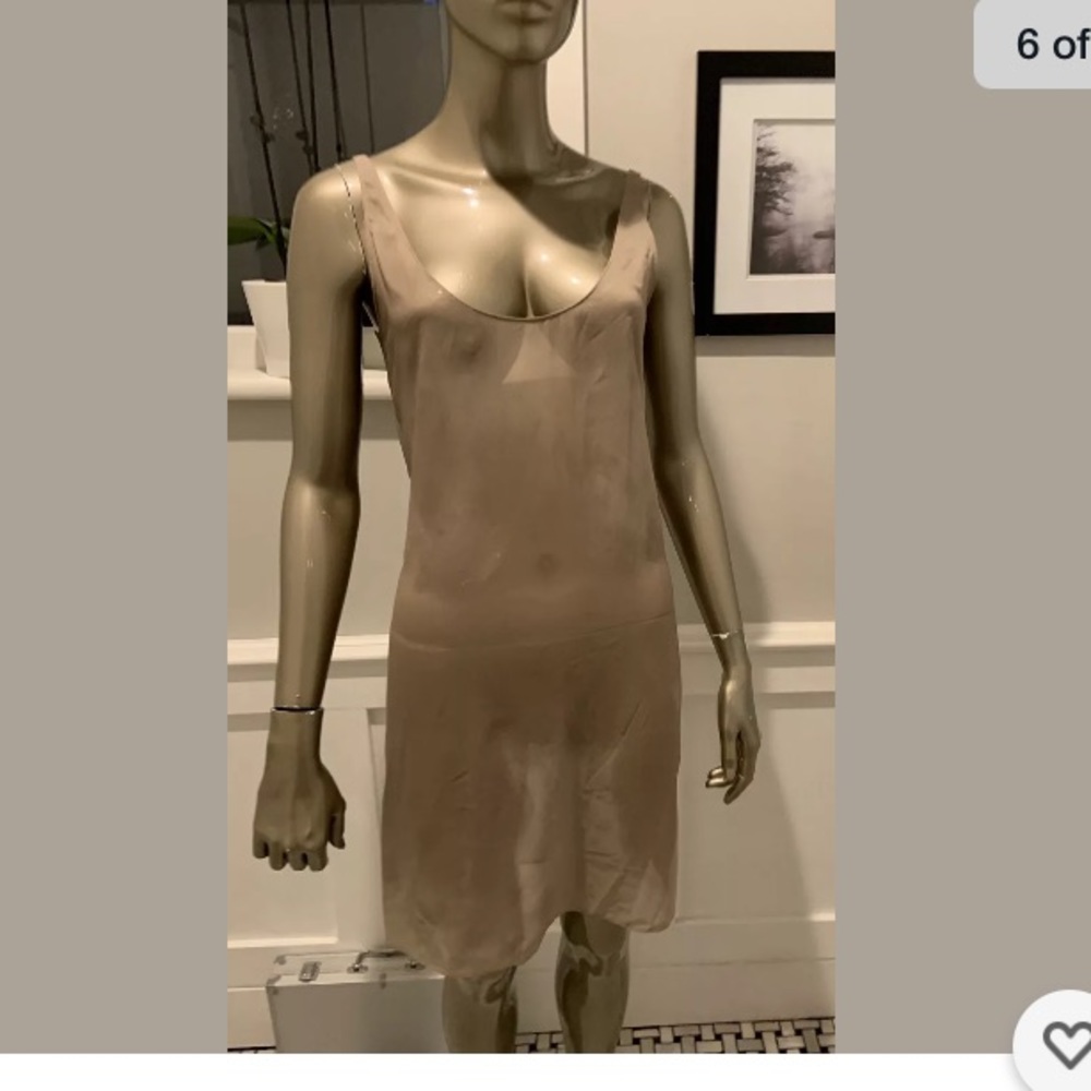 MIU MIU DOLCE&GABBANA SHEER DRSS REMINISCENT OF  MET GALA 2024 SLEEPING BESUTY